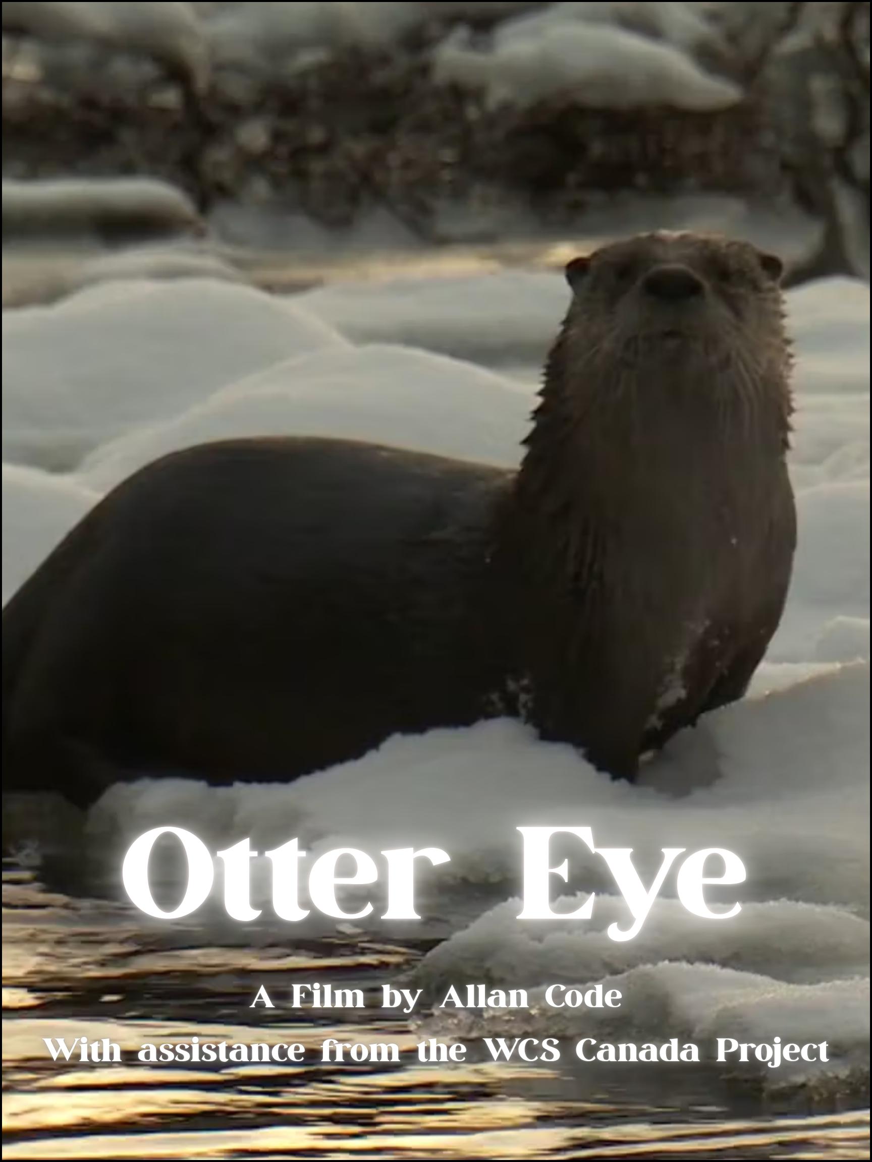 Otter Eye