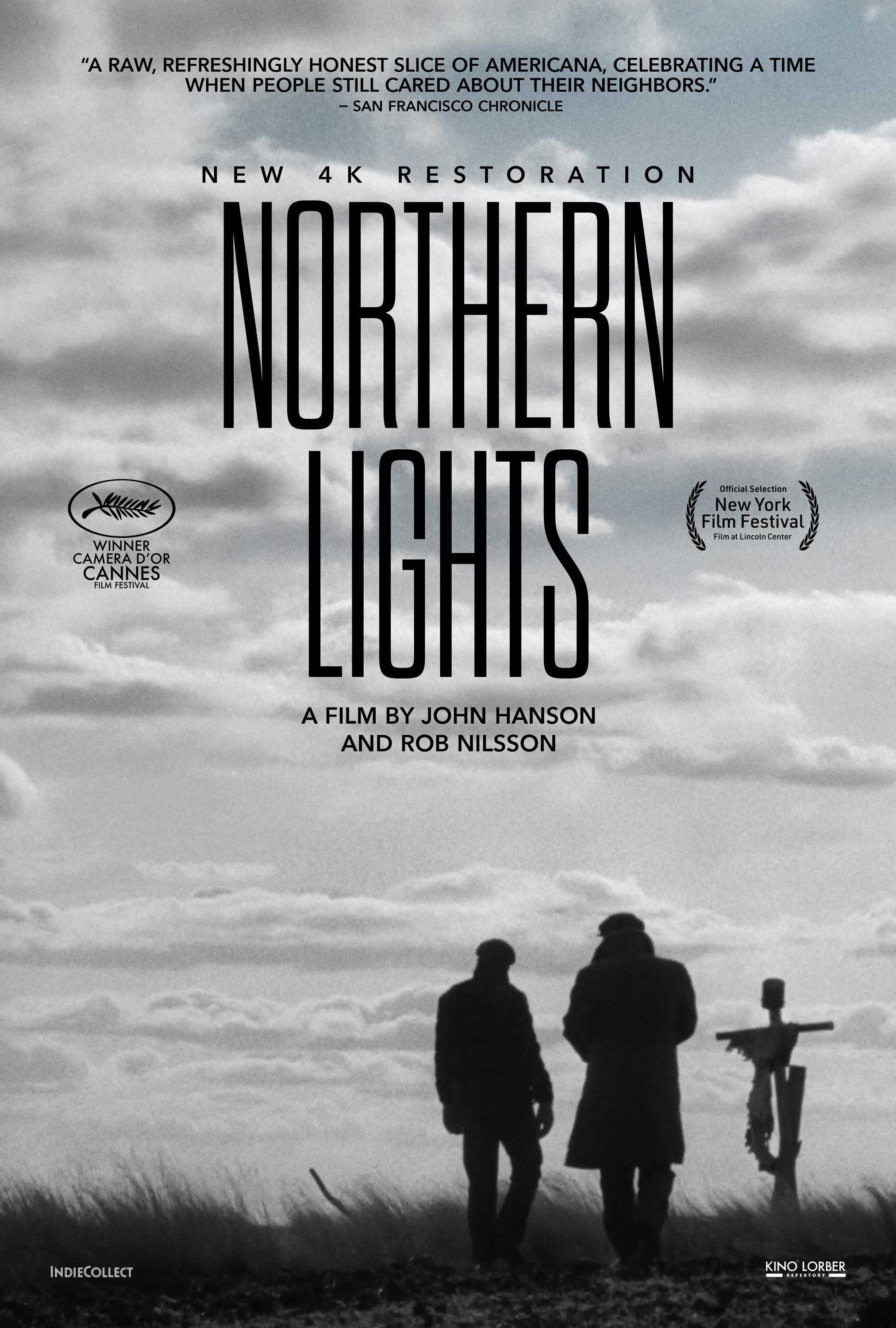 Poster of Northern Lights