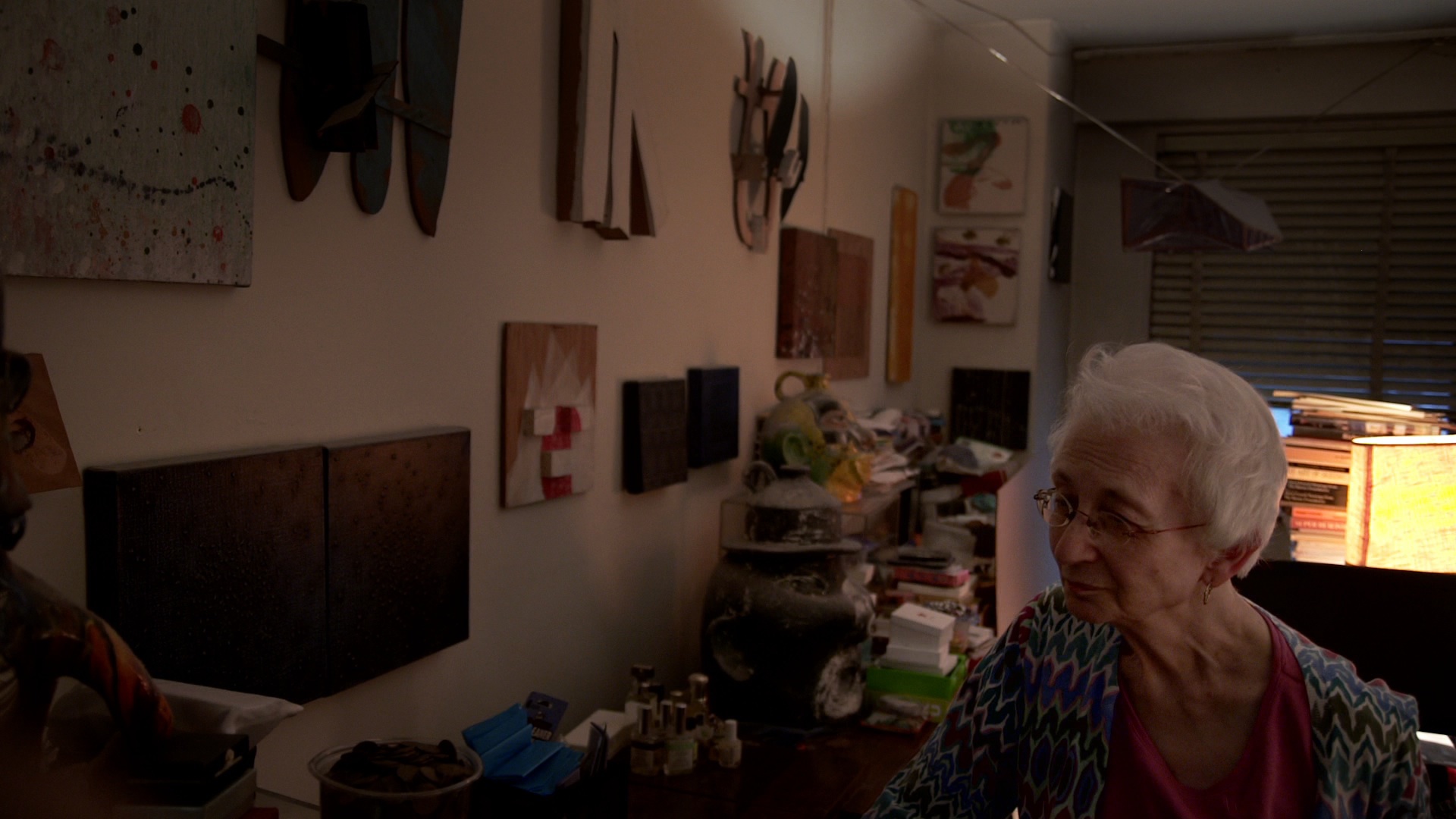 Dorothy Vogel in Herb & Dorothy 50X50 (2013)