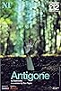 Primary photo for National Theatre Live: Antigone Primary photo for National Theatre Live: Antigone