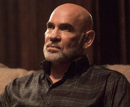 Mitch Pileggi image