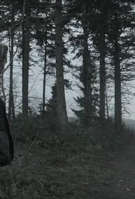 Primary photo for The Quest