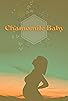 Primary photo for Chamomile Baby Primary photo for Chamomile Baby