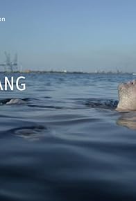 Primary photo for Boomerang