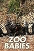 Primary photo for Zoo-Babies Primary photo for Zoo-Babies