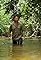 Borneo: Dark Shadow's primary photo