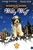 Primary photo for Weihnachten mit Willy Wuff