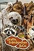 Primary photo for Orang Utan-Dame Sirih in Amerika Primary photo for Orang Utan-Dame Sirih in Amerika