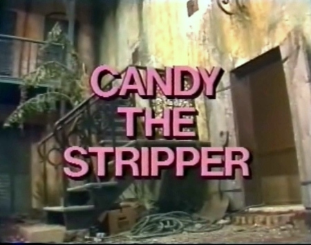 Candy Stripper
マルチケース　ほぼ日手帳 RLC Exclusive 1:18 “Candy Striper” Crowdfund Price. $250.00