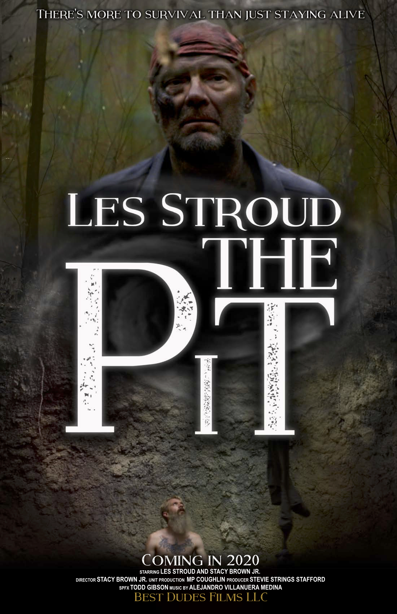Poster of The Pit
