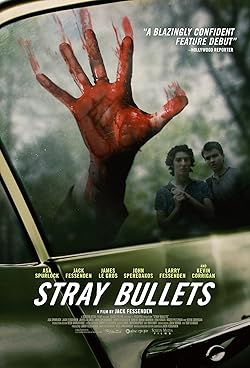 Poster of Stray Bullets