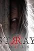 Primary photo for Stray Souls Primary photo for Stray Souls