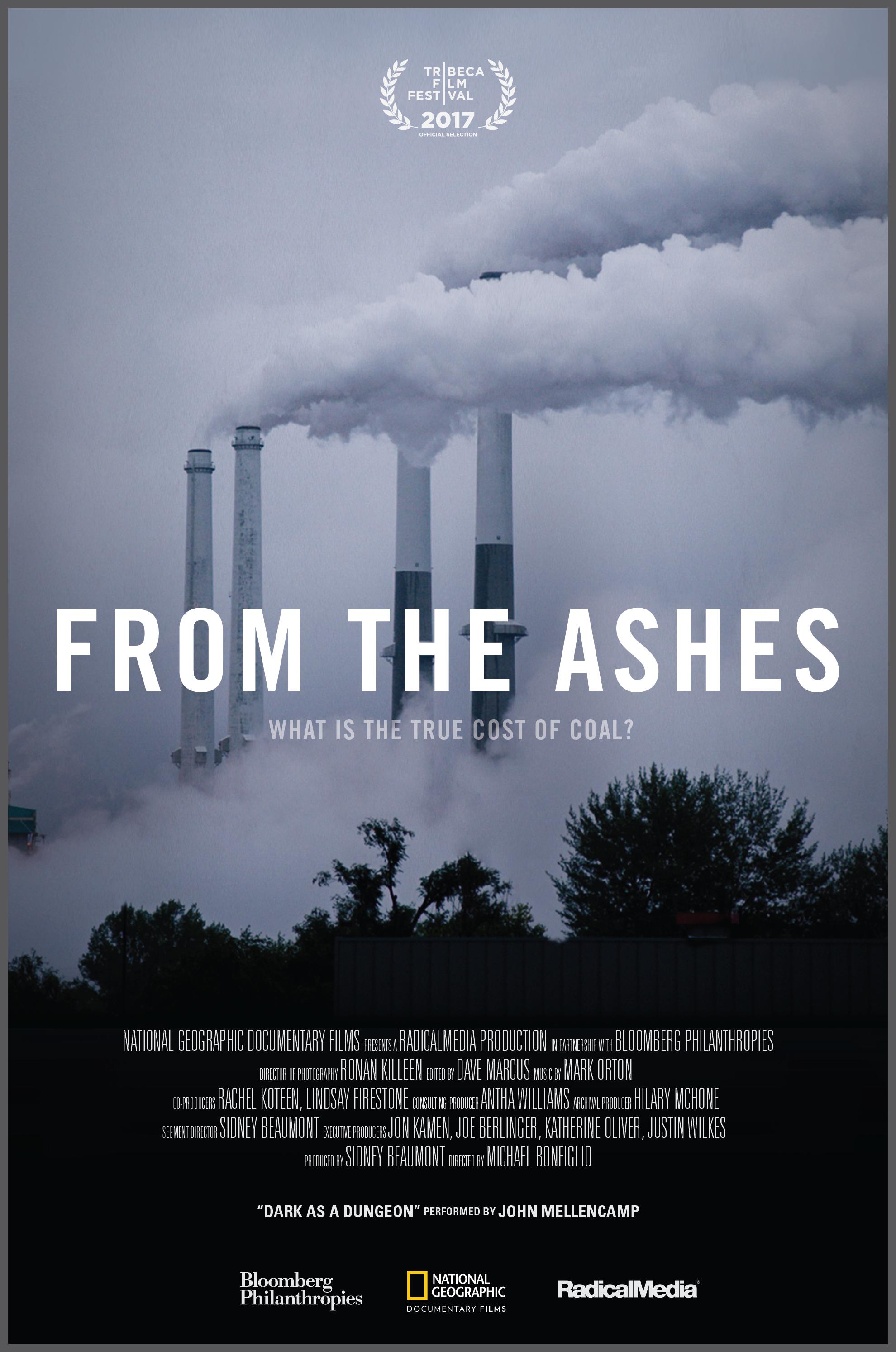 Poster of From the Ashes