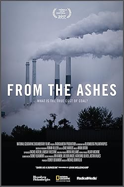 Poster of From the Ashes