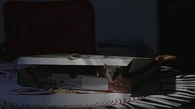 पोस्टर देखें