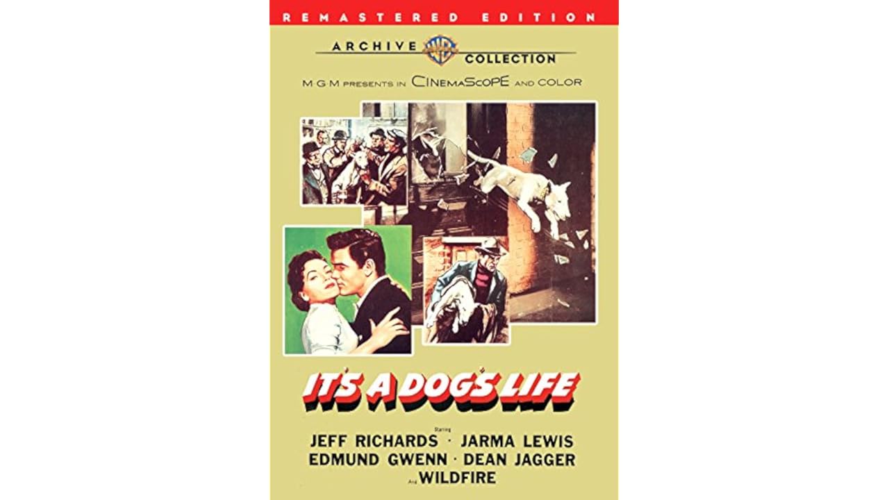 [WATCH-HD] It's a Dog's Life 1955 Full MovieS Free HD