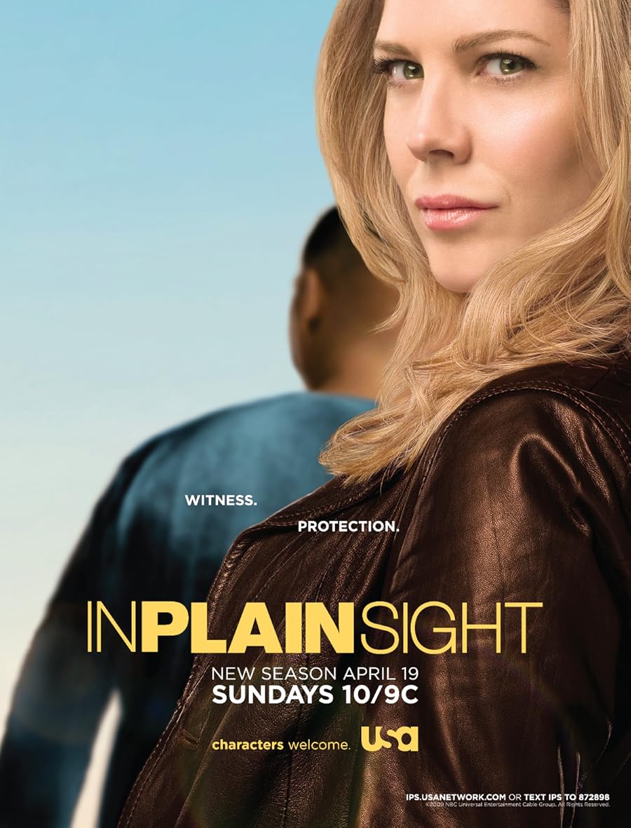 In Plain Sight Poster