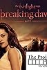 Primary photo for Breaking Dawn, Part 1