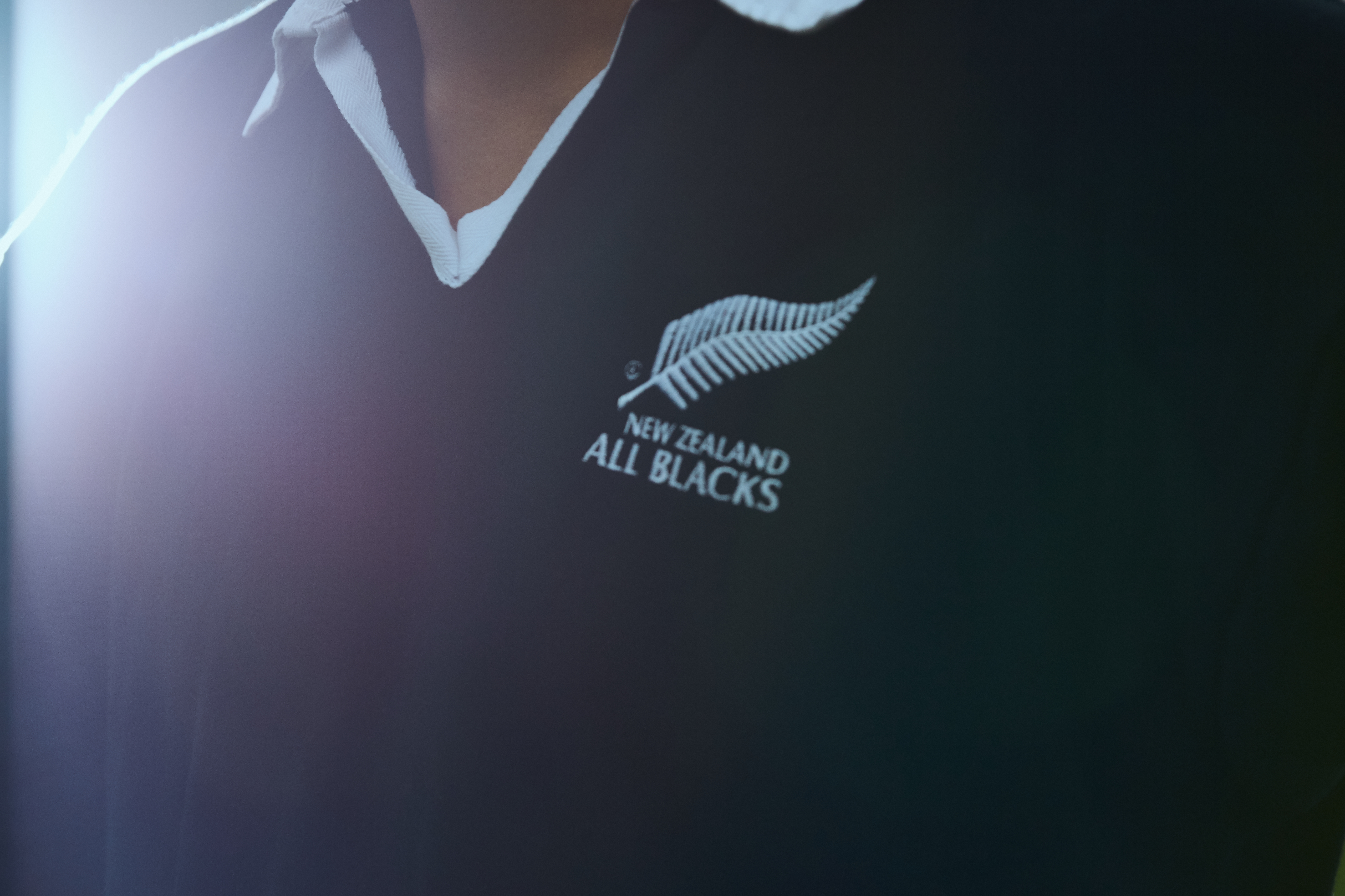 Poster of By the Balls