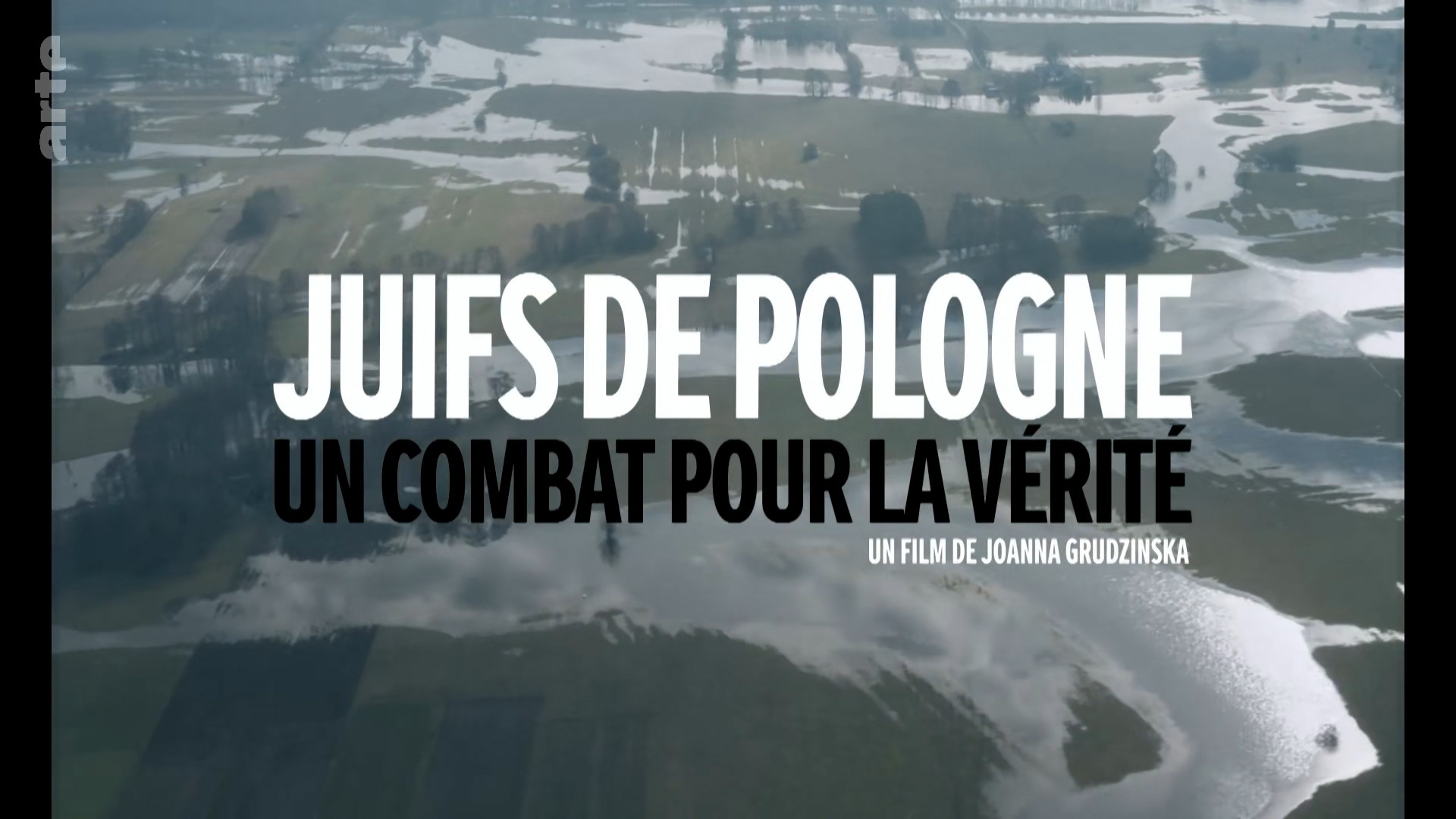 Juifs de Pologne: un combat pour la vérité