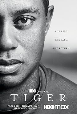 Poster of Tiger (2021)