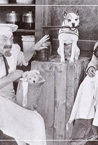 Primary photo for Ham and the Sausage Factory