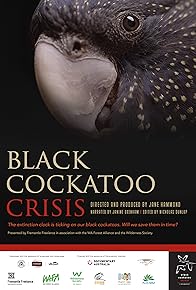 Primary photo for Black Cockatoo Crisis