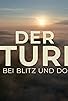 Primary photo for Der Sturm - Tiere bei Blitz und Donner
