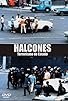 Primary photo for Halcones