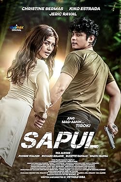 Poster of Sapul