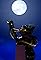 Kuro Neko's primary photo