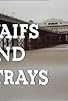 Primary photo for Waifs and Strays Primary photo for Waifs and Strays