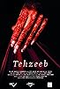 Primary photo for Tehzeeb Primary photo for Tehzeeb