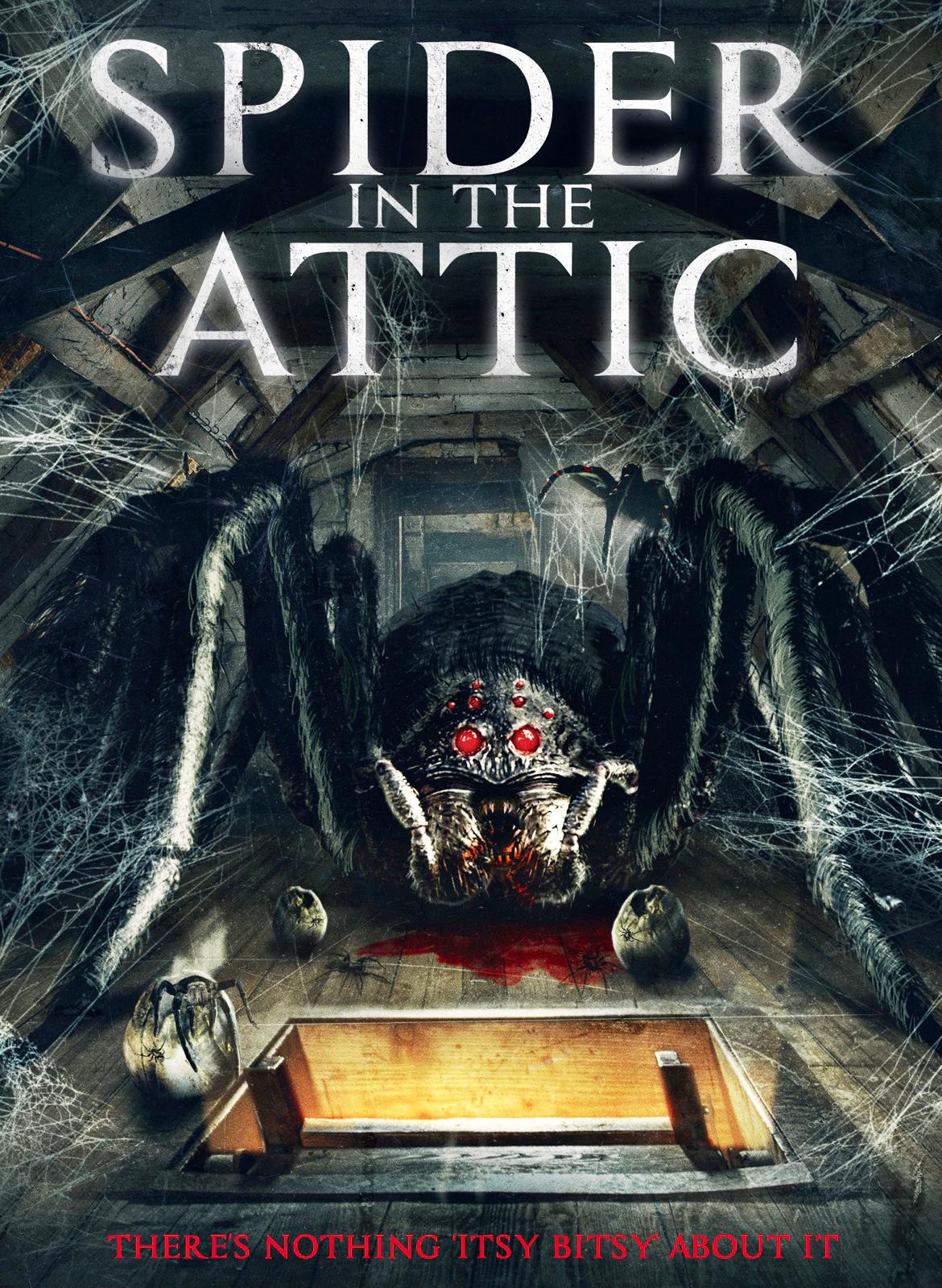 Poster of Spider from the Attic