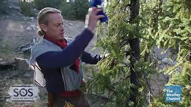 पोस्टर देखें