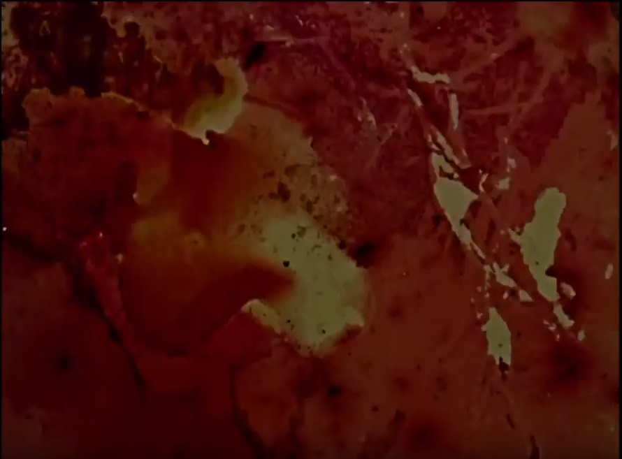 Stan Brakhage - Dog Star Man　公開時　限定ポスター Stan Brakhage - Dog Star Man | Experimental Cinema