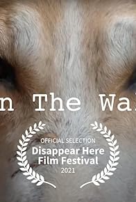 Primary photo for On the Wall - A Magical Taxidermy Journey