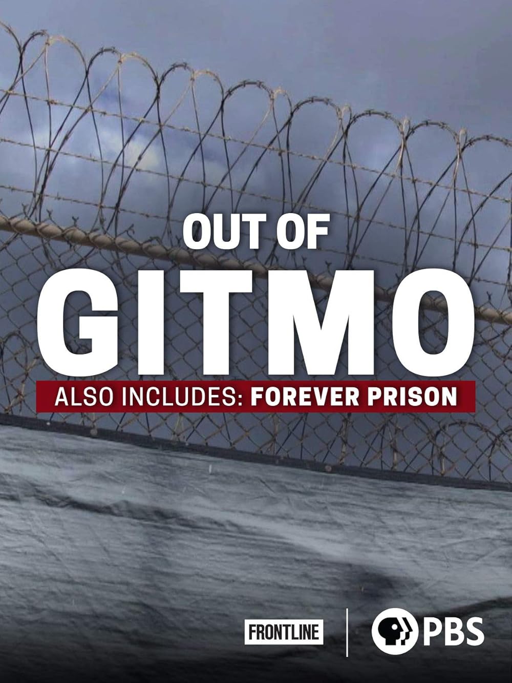 (未使用･未開封品)Frontline: Out of Gitmo [DVD] [Import] Amazon.co.jp: Frontline: Out of Gitmo [DVD] [Import] : DVD