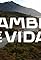 Cambio de Vida's primary photo