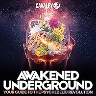 Primary photo for The Awakened Underground