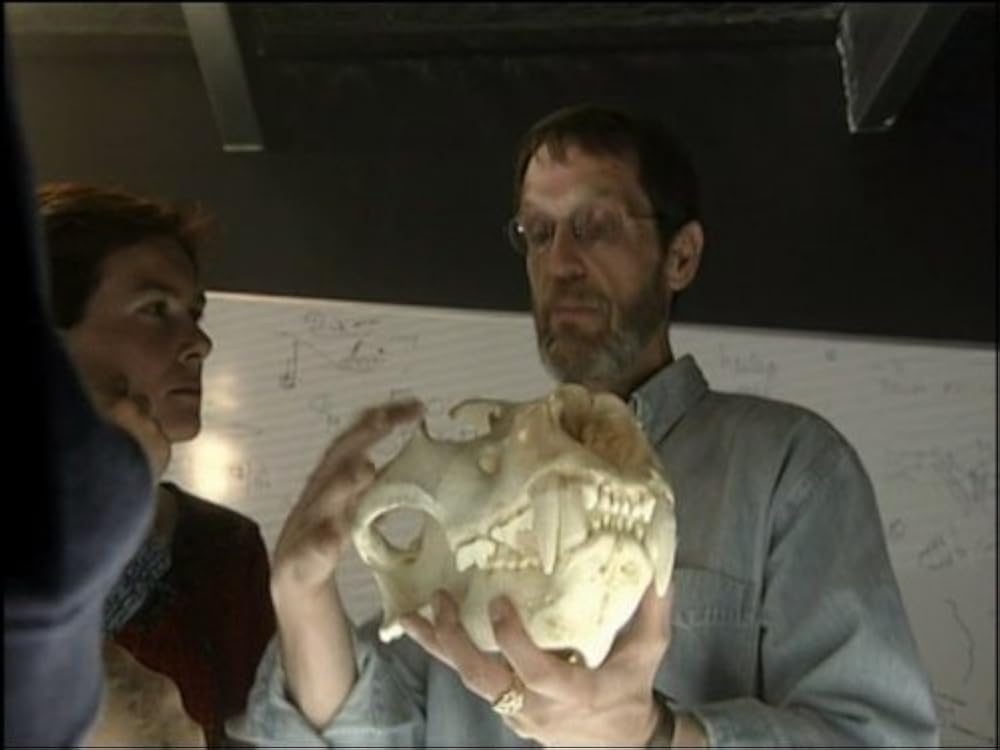 "Animal Face Off" Lion vs. Tiger (TV Episode 2004) IMDb