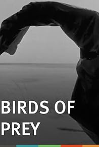 Primary photo for Birds of Prey