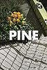 Primary photo for Pine Primary photo for Pine