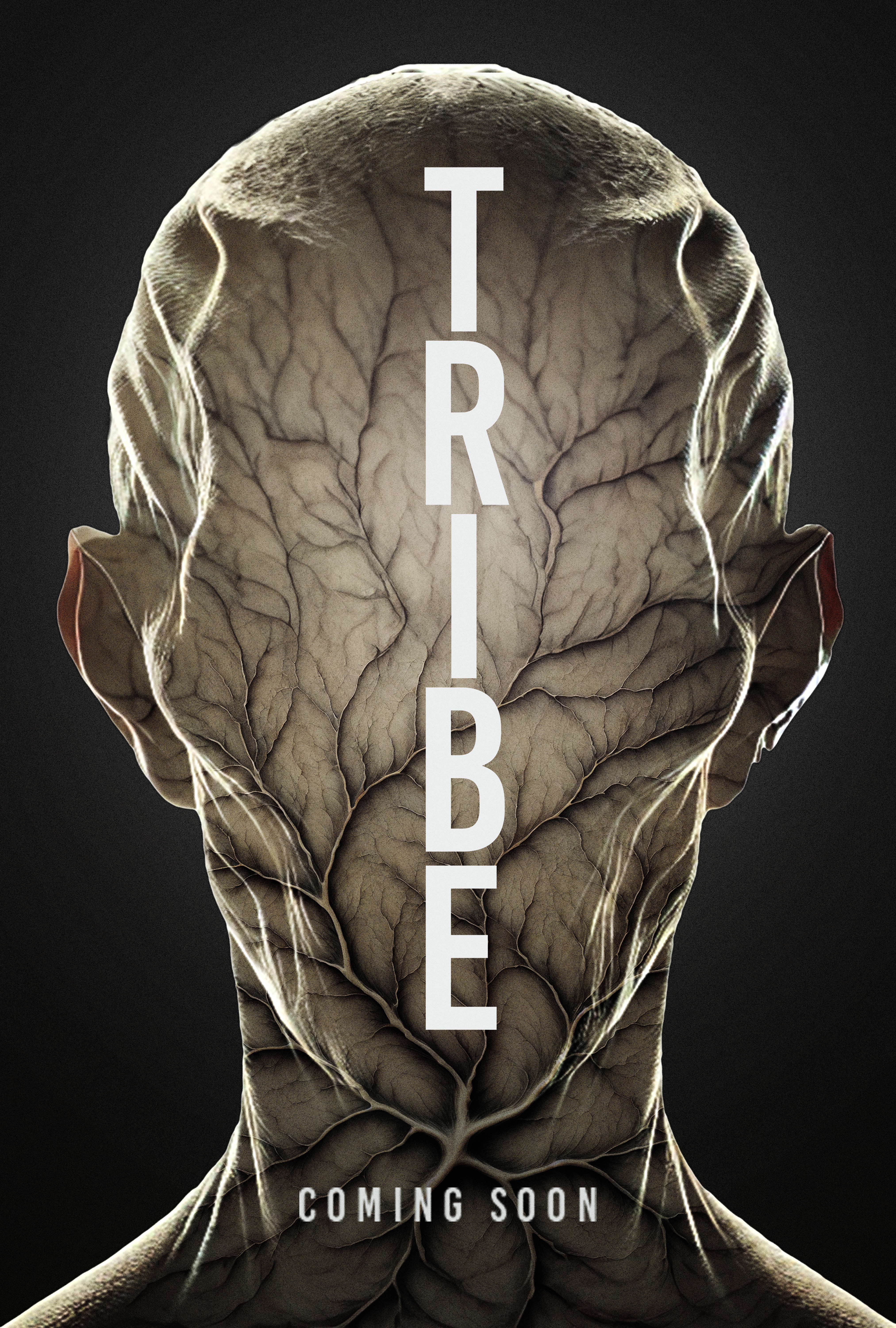 Tribe