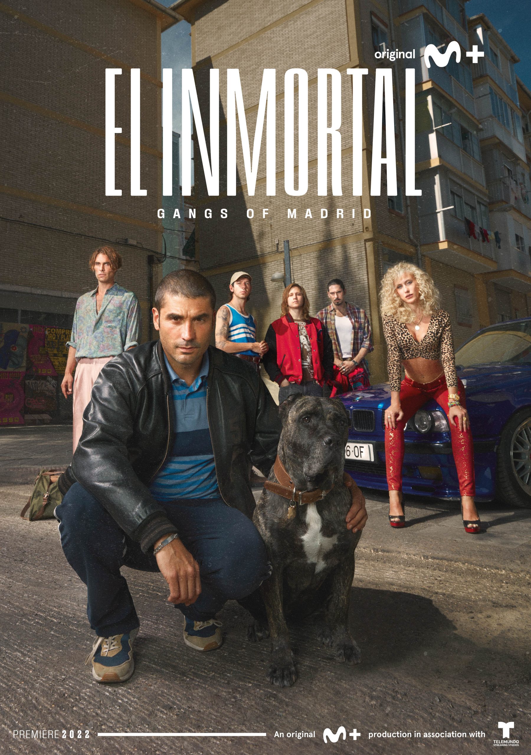 Poster of The Inmortal