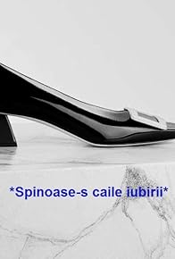 Primary photo for Spinoase-s caile iubirii
