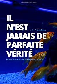 Primary photo for Il n'est jamais de parfaite vérité