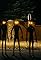 Skinwalker Invasion's primary photo