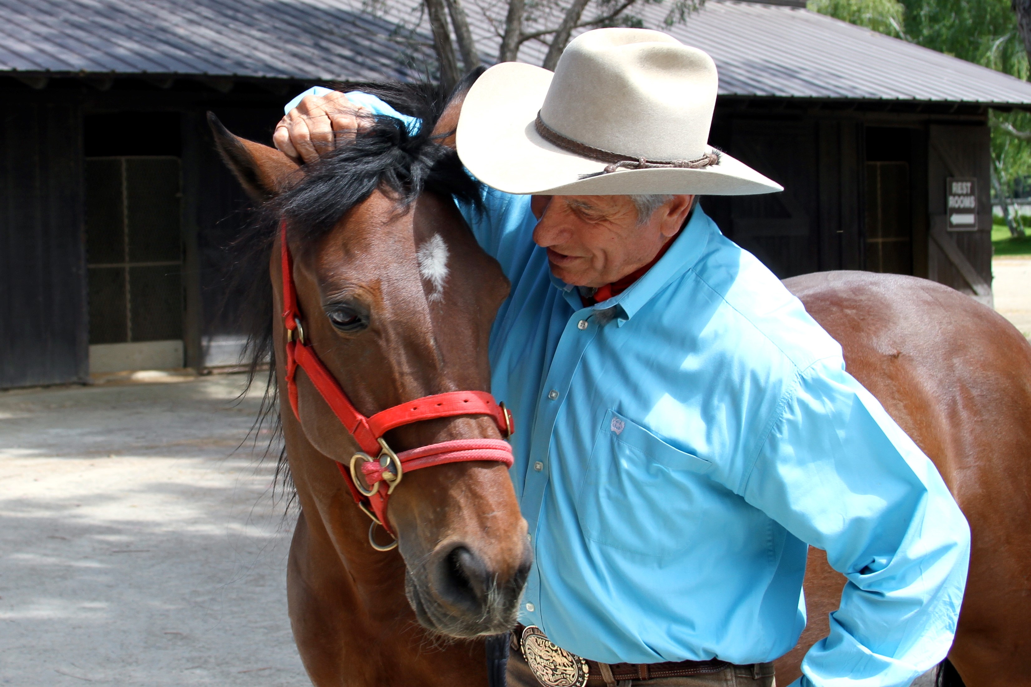 Monty Roberts: A Real Horse Whisperer (Video 1998) - IMDb