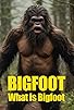 Primary photo for Bigfoot - What Is BigFoot Primary photo for Bigfoot - What Is BigFoot